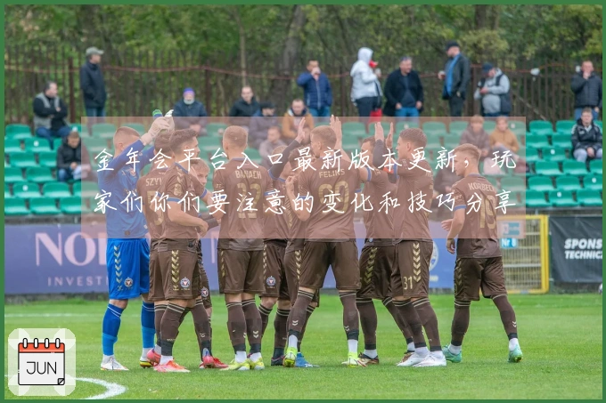 金年会平台入口最新版本更新，玩家们你们要注意的变化和技巧分享