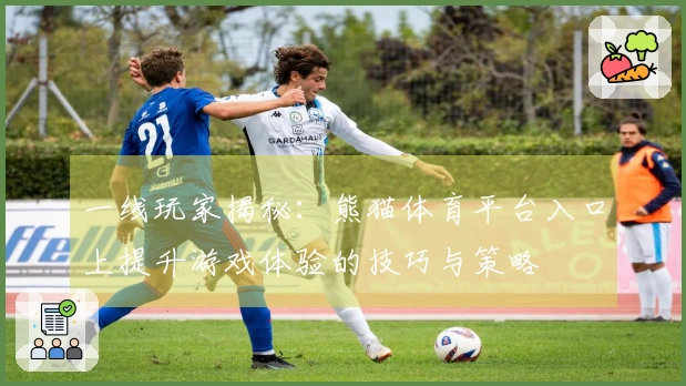 一线玩家揭秘：熊猫体育平台入口上提升游戏体验的技巧与策略