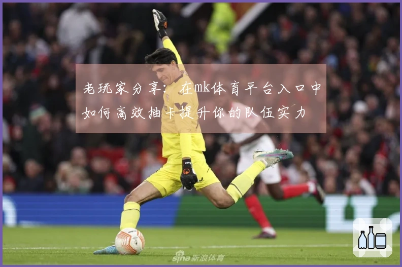 老玩家分享：在mk体育平台入口中如何高效抽卡提升你的队伍实力
