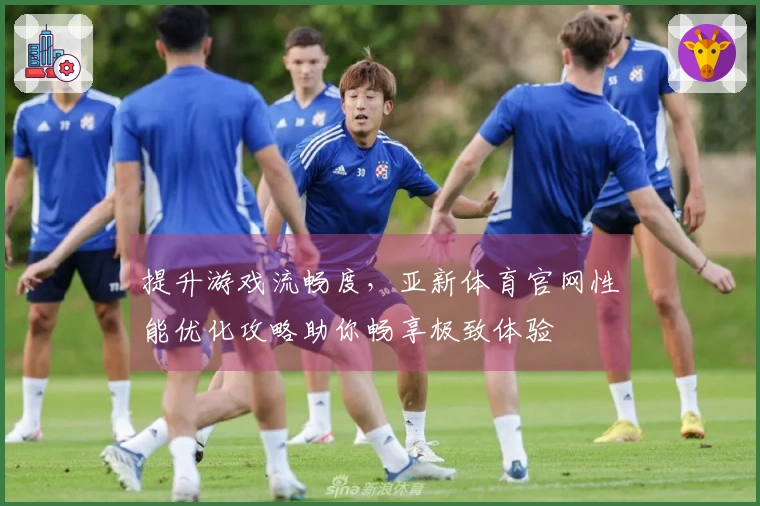 提升游戏流畅度，亚新体育官网性能优化攻略助你畅享极致体验